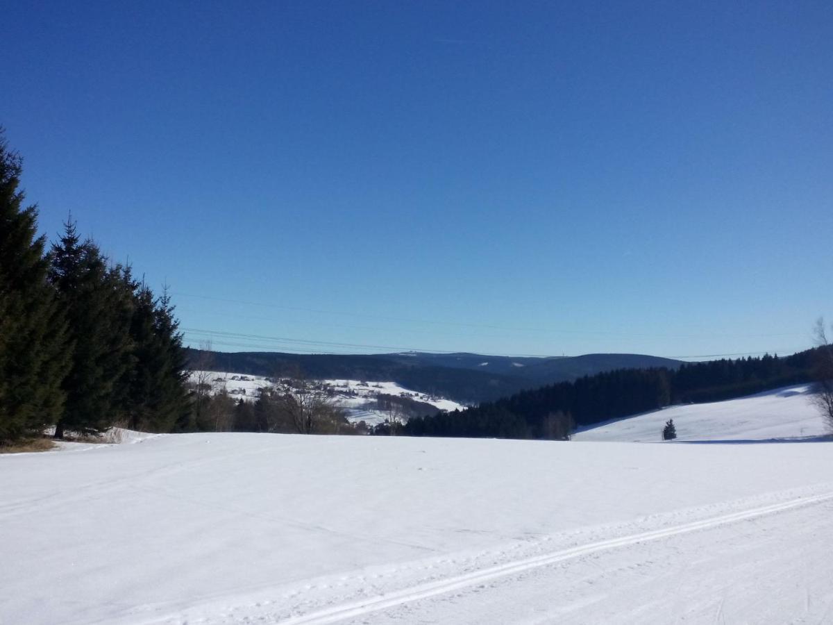 Cozy Apartment In Ore Mountains With Balcony ไบรเทนบรุนน์ ห้อง รูปภาพ