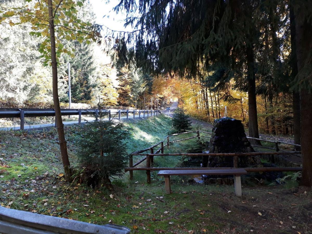 Cozy Apartment In Ore Mountains With Balcony ไบรเทนบรุนน์ ภายนอก รูปภาพ